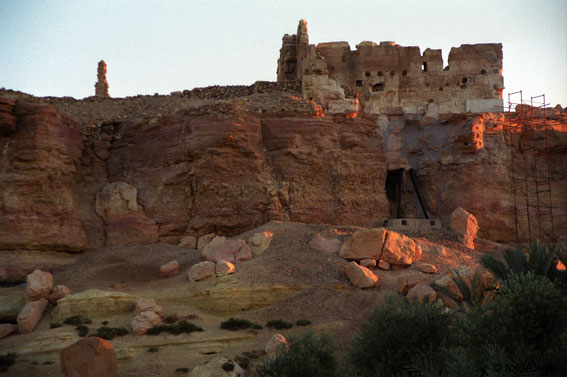 El oasis de Siwa