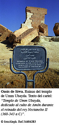 El oasis de Siwa