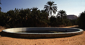 El oasis de Siwa