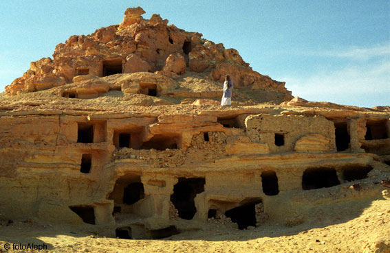 El oasis de Siwa