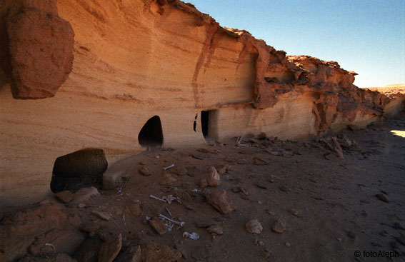 El oasis de Siwa