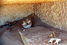 El oasis de Siwa