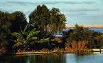 El oasis de Siwa