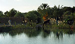 El oasis de Siwa