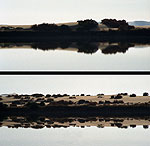 El oasis de Siwa