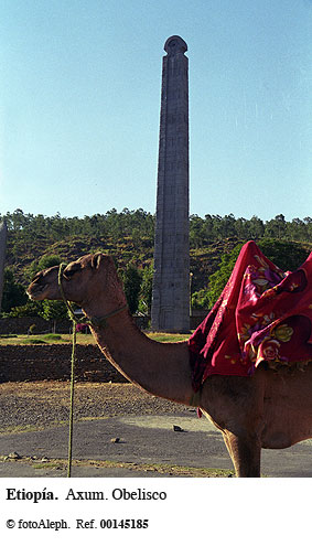 Patrimonio Humanidad