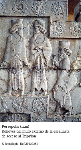 Persepolis