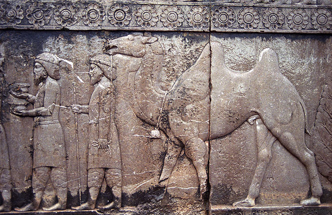 Persepolis