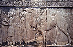 Persepolis