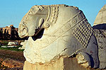 Persepolis