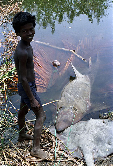 Pescadores de Sri Lanka