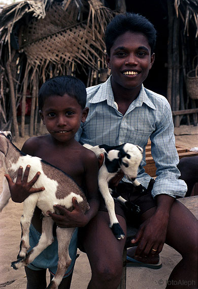 Pescadores de Sri Lanka