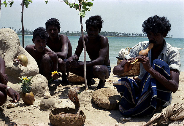 Pescadores de Sri Lanka