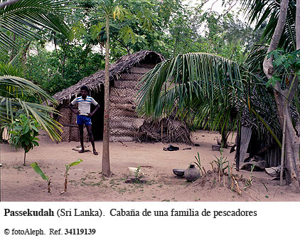 Pescadores de Sri Lanka