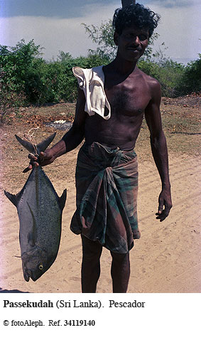 Pescadores de Sri Lanka