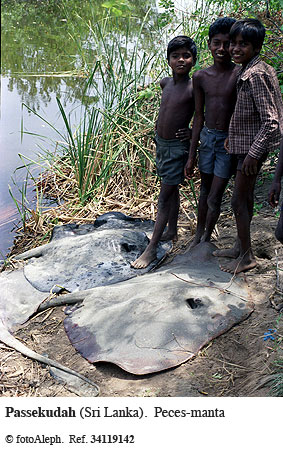 Pescadores de Sri Lanka