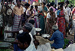 Pescadores de Sri Lanka