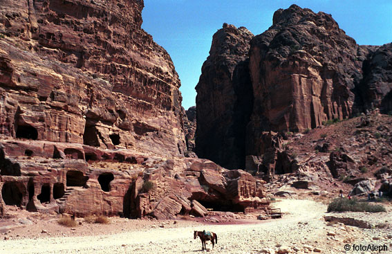 Petra