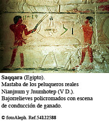 Saqqara. Mastaba de Niajjnum y Jnumhotep
