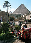 Giza