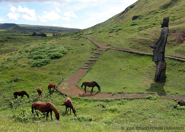 Rapa Nui