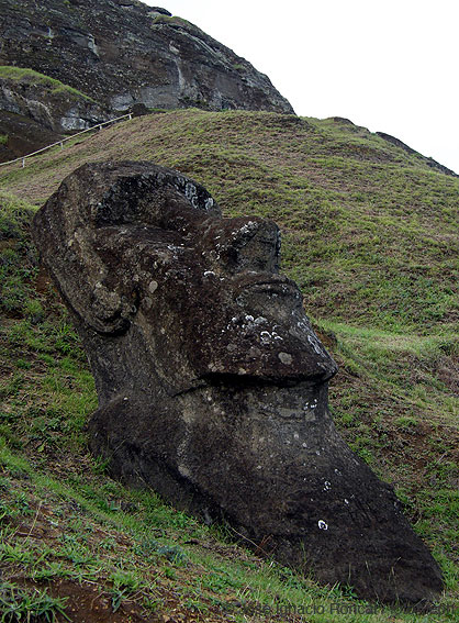 Rapa Nui