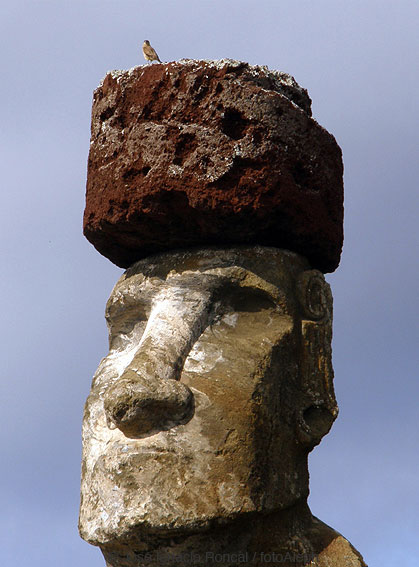 Rapa Nui