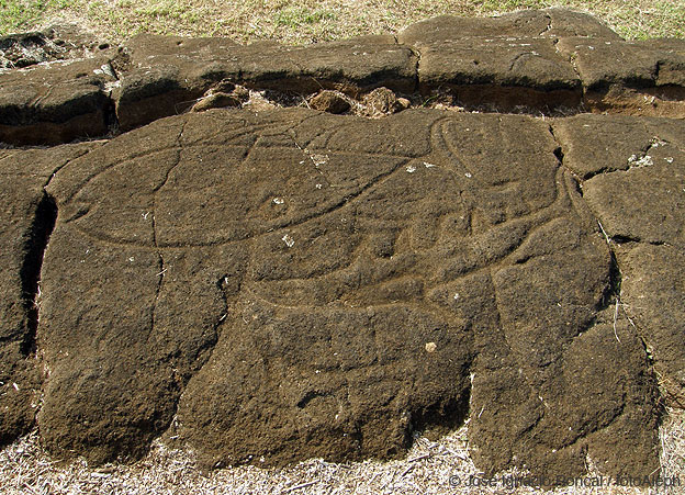 Rapa Nui