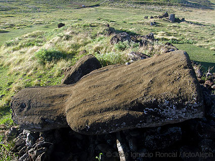 Rapa Nui