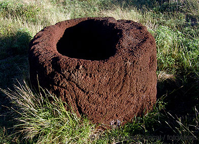 Rapa Nui