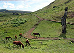 Rapa Nui