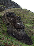 Rapa Nui