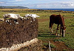 Rapa Nui