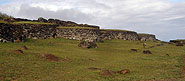 Rapa Nui