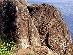 Rapa Nui