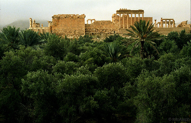 Las ruinas de Palmyra