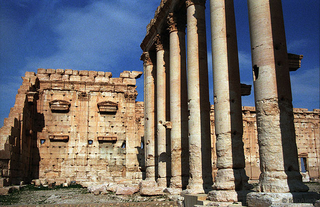 Las ruinas de Palmyra