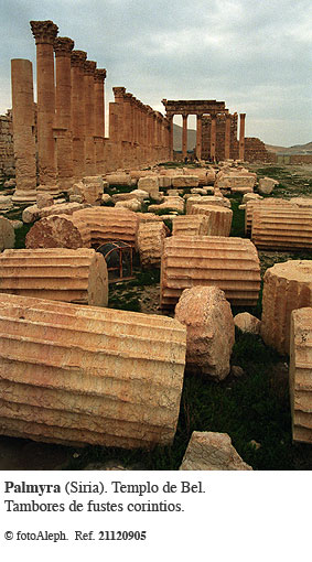 Las ruinas de Palmyra