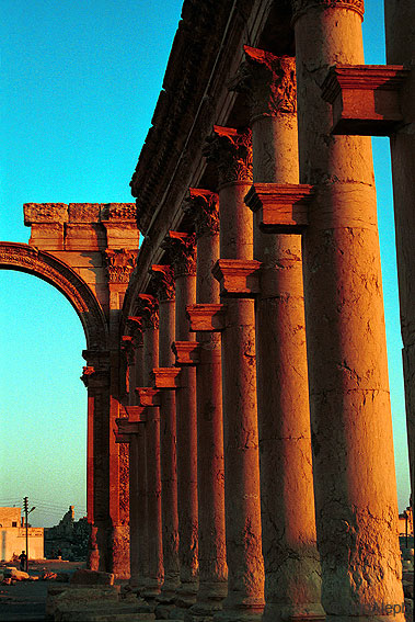 Las ruinas de Palmyra