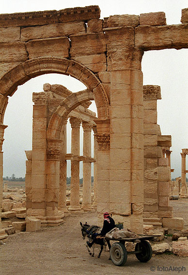 Las ruinas de Palmyra