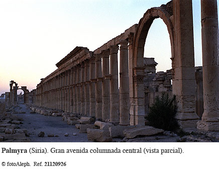 Las ruinas de Palmyra