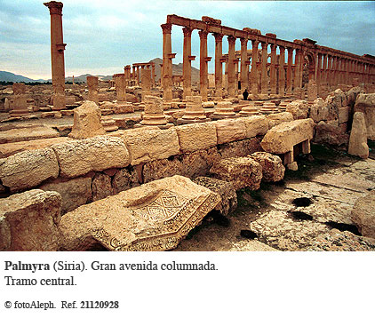 Las ruinas de Palmyra