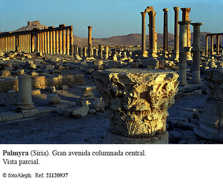 Las ruinas de Palmyra