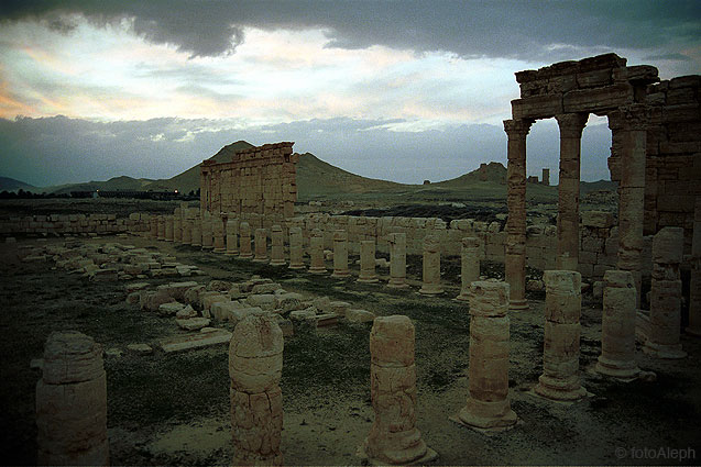 Las ruinas de Palmyra