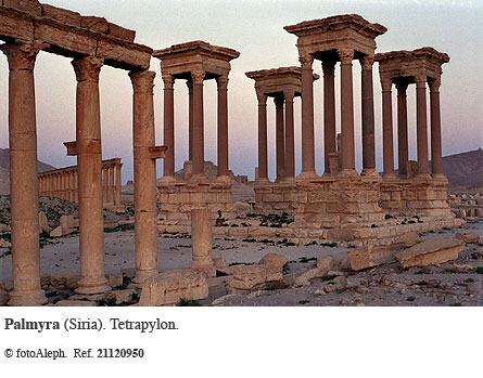 Las ruinas de Palmyra