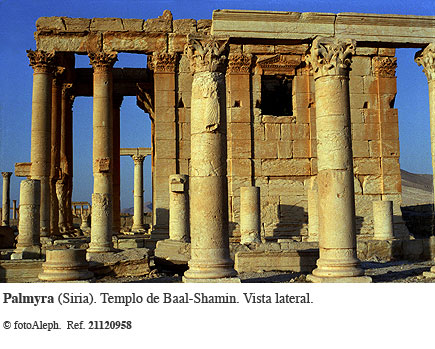 Las ruinas de Palmyra