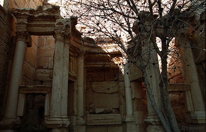 Las ruinas de Palmyra