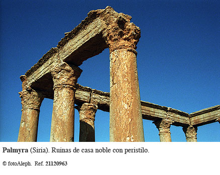 Las ruinas de Palmyra