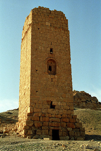 Las ruinas de Palmyra