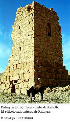 Las ruinas de Palmyra